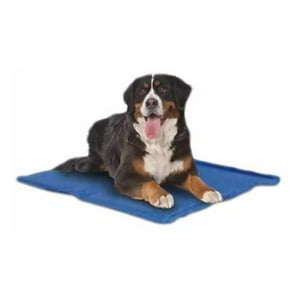 Manta Refrescante Refrigerante Para Perro Azul L Mascan Azul