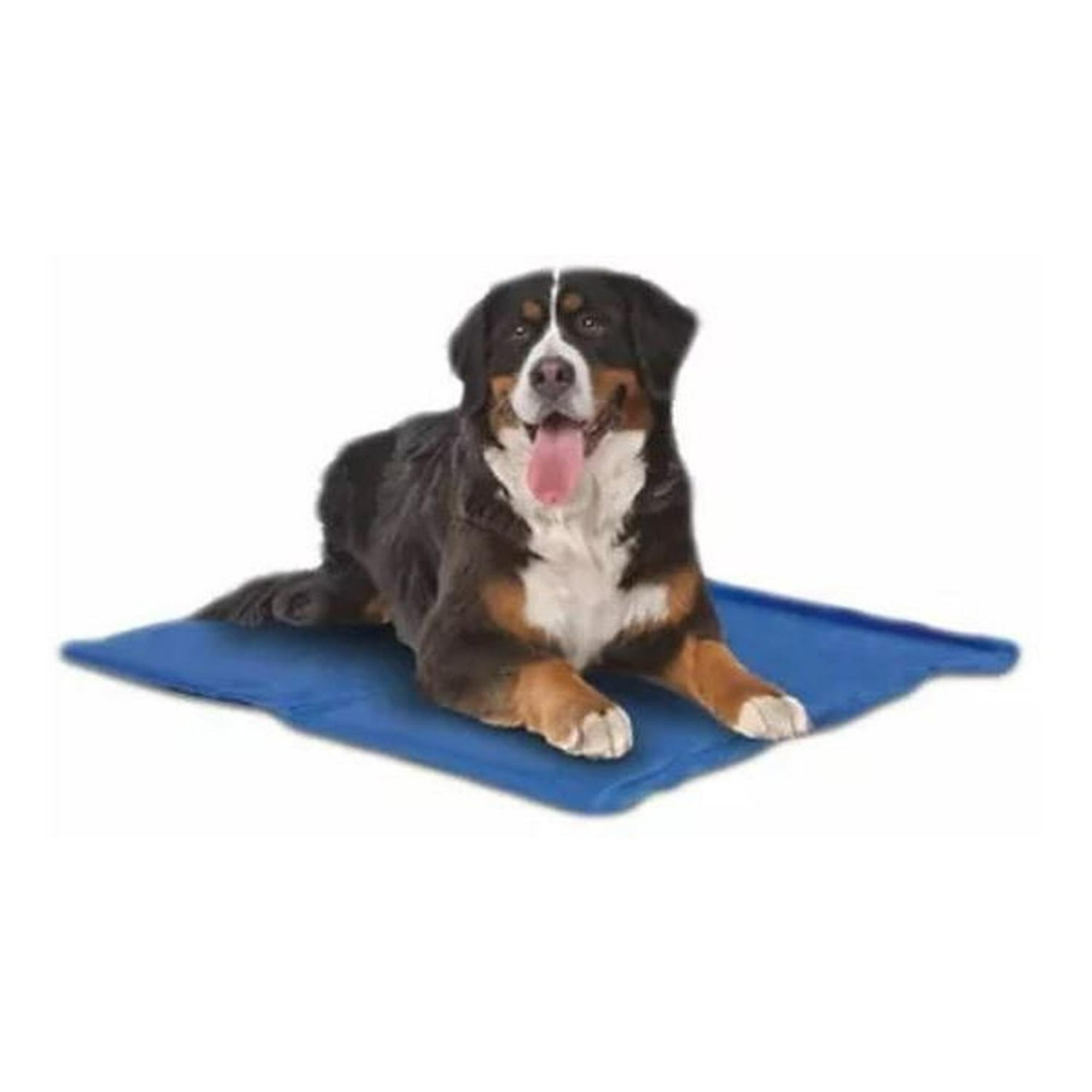 Manta Refrescante Refrigerante Para Perro Azul L Mascan Azul