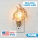 thumbnail image 3 of Luz Nocturna de Concha Real Tumbler Home Decoración Costera, 3 of 8