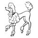 thumbnail image 1 of Decomural Poodle Portrait Dogs Pets WS-34713, 1 of 2