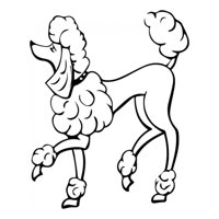 Rienda Libre Graphics - Decomural Poodle Portrait Dogs Pets Ws-34713