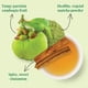 thumbnail image 3 of Té The Republic of Tea Lean Green Matcha 36 bolsas, 3 of 4