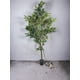 thumbnail image 3 of Árbol Ficus 150cm Artificial, 3 of 3