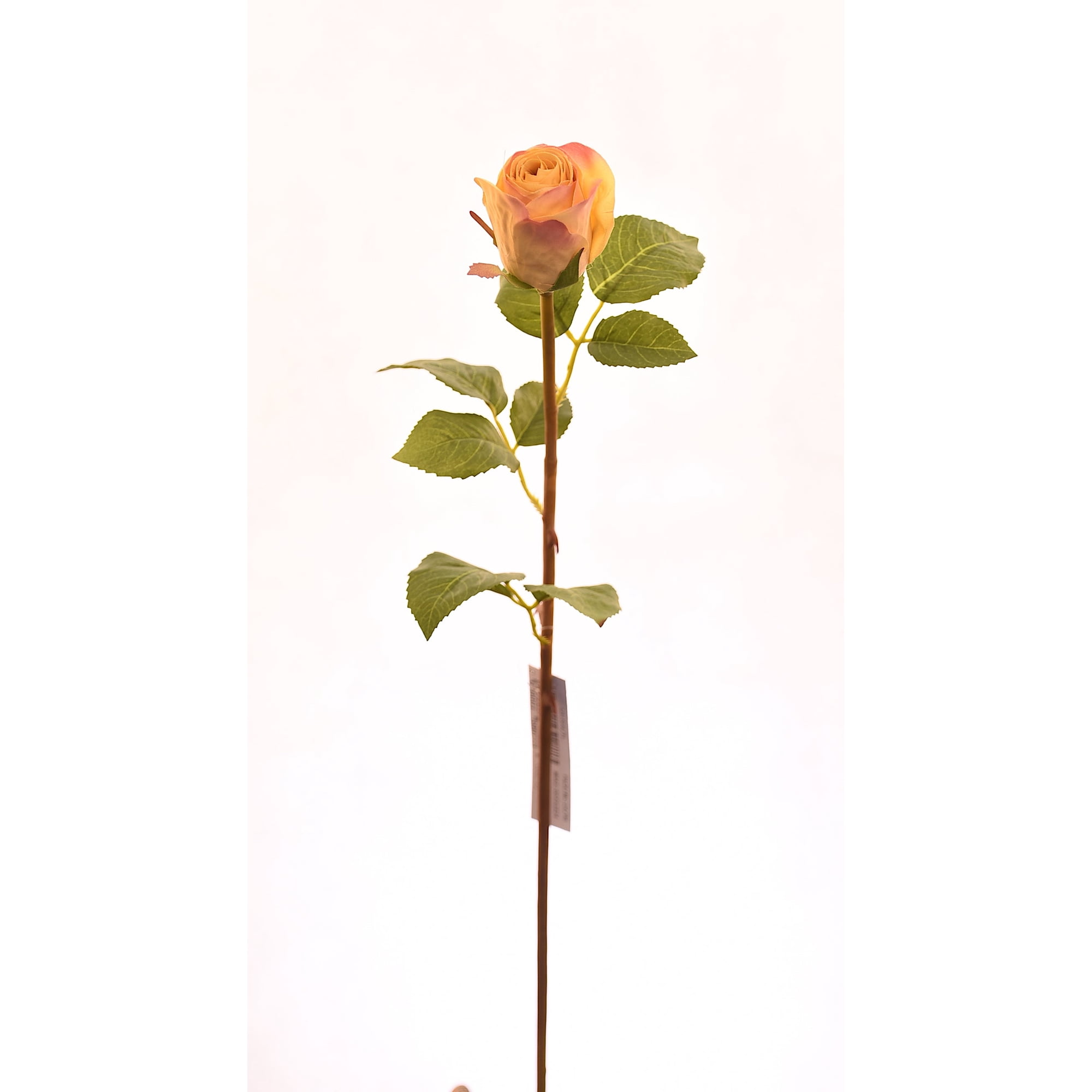 Boton Rosa Amarillo 51 Cm | Lider