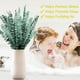 thumbnail image 3 of 30 tallos grandes de eucalipto seco real para ducha, hojas frescas de eucalipto 100 % naturales, eucalipto colgante de 43 cm para el cuidado personal, arreglos florales, bodas y decoración del hogar., 3 of 7