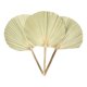 thumbnail image 2 of Set de 3 Abanico Grande Hojas Palma Natural Decoración Jhn, 2 of 3