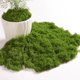 thumbnail image 1 of Musgo artificial Fancypost 150 g – Decoración verde para manualidades, 1 of 8