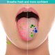 thumbnail image 4 of Paquete de 3 raspadores de lengua de acero inoxidable para un cuidado bucal saludable. Raspadores de lengua metálicos sin BPA., 4 of 8