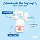 thumbnail image 2 of Dog Toy Bark, 2 en 1, interactivo, peluche y chirriante, bolitas de Andi's, 2 of 7