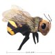 thumbnail image 5 of Finger Puppet Folkmanis Mini Bee negro y naranja-amarillo, 5 of 5