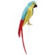 thumbnail image 1 of simulación artificial con plumas loro pájaro animal modelo juguete decoración del hogar e, 1 of 5