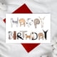 thumbnail image 4 of Tarjeta de cumpleaños Bhisong Happy Birthday Cat Lover Funny Cats, 4 of 7