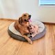 thumbnail image 4 of Peluche LotFancy Dog Golden Retriever 53 cm, 4 of 9