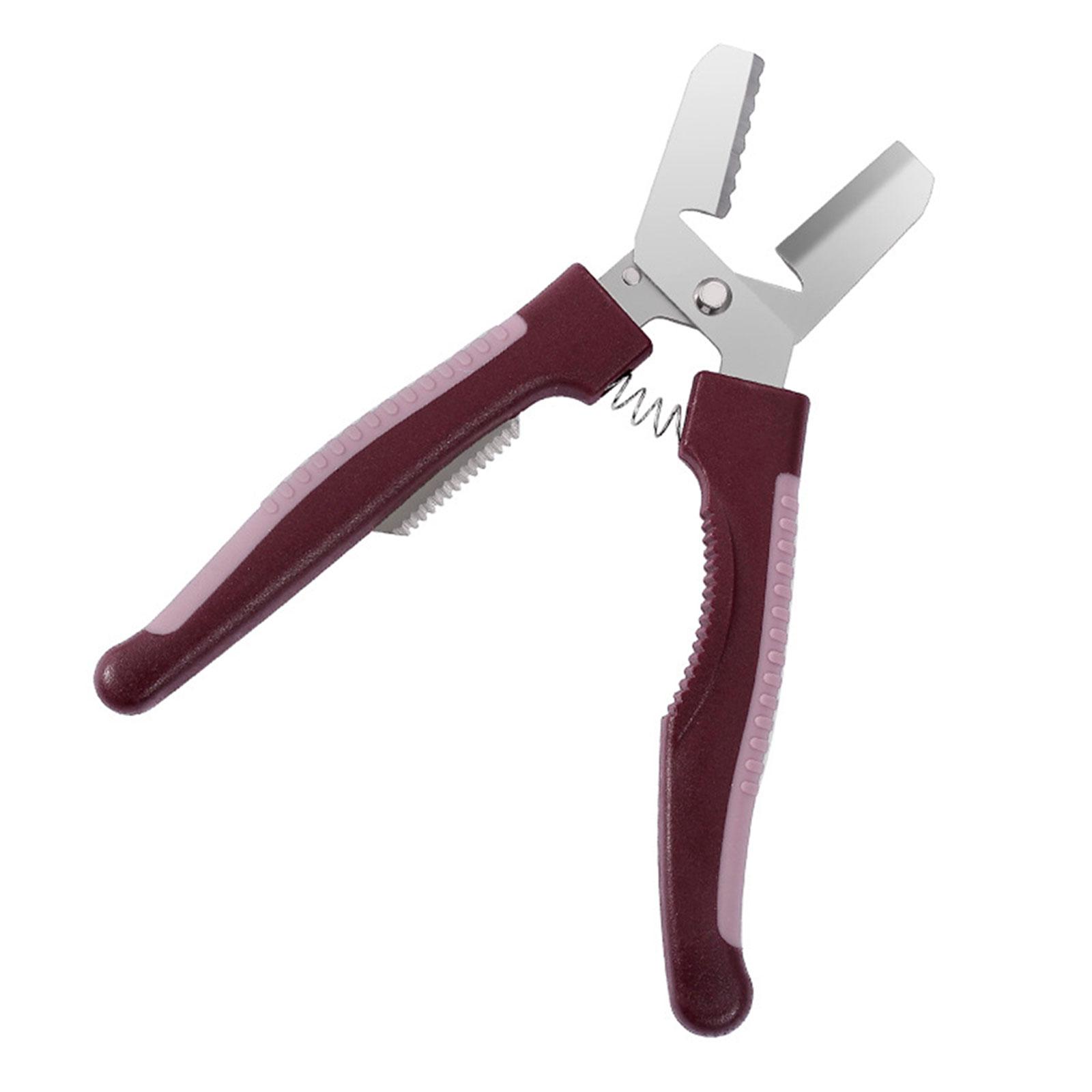 Magideal - Pinza Con Forma De Castaña Abridor De Castañas Utensilio De Cocina Abridor De Frutas Secas De Acero Inoxidable Pelador De Nueces Pinzas De Nogal Para