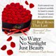 thumbnail image 2 of GLAMOUR BOUTIQUE Flores preservadas, 27 rosas rojas eternas, 2 of 3