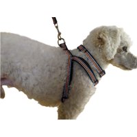 Defensor - Correa, Arnés Y Collar Para Perros Pequeños Talla S