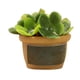 thumbnail image 3 of 1/12 Casa De Mu?ecas Resina Mini Bonsai Suministros De Paisaje Para Decoración De Balcón Estilo D, 3 of 5