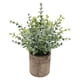 thumbnail image 4 of Planta Suculenta Artificial Falsa En Maceta Mini Plantas En Maceta Decoración De Jardín Para El Hogar Pequeño Eucalipto, 4 of 5
