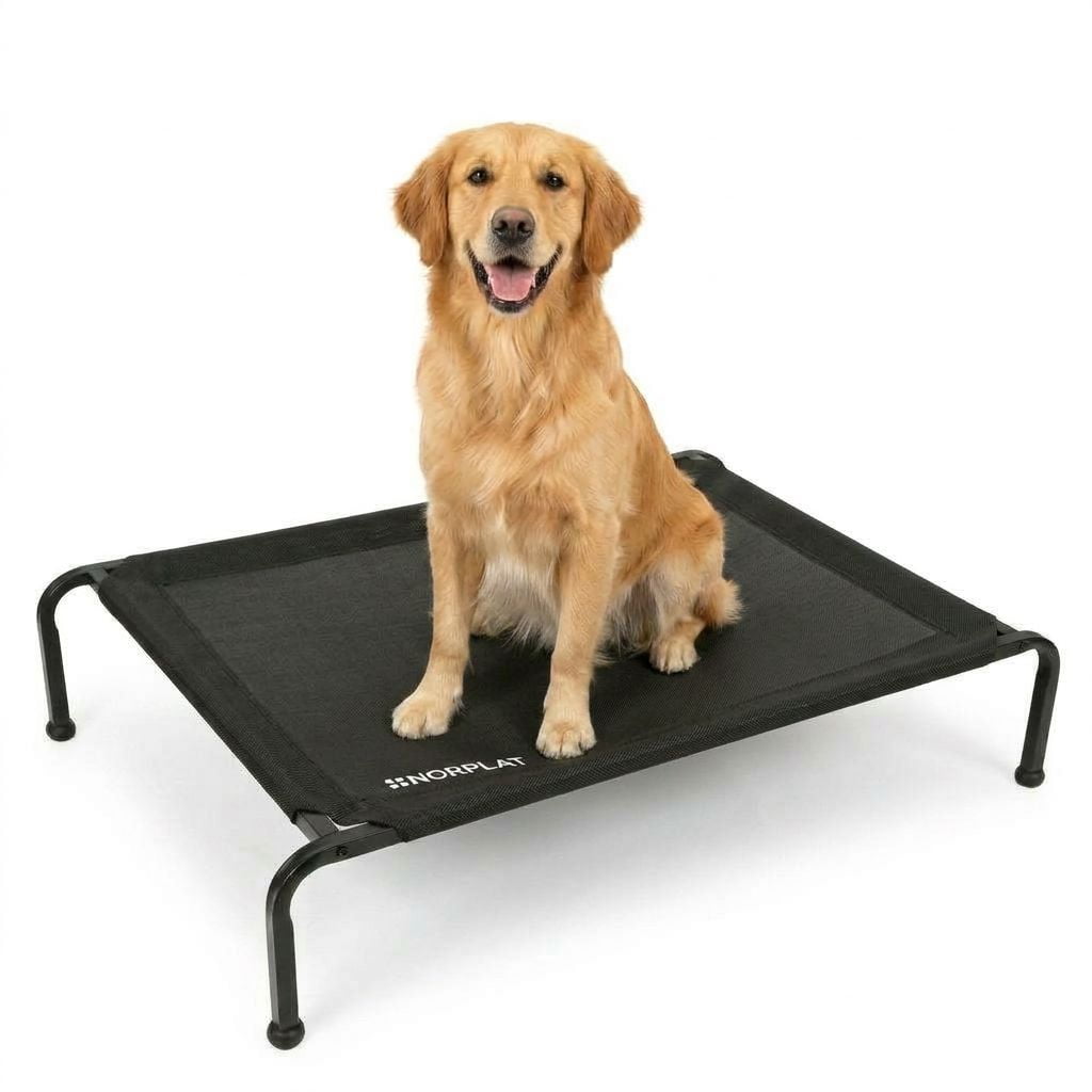 Cama Elevada Norplat Altura Para Perro Gato Talla L Grande