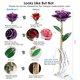 thumbnail image 3 of Decoración floral Sinvitron Forever con rosas infinitas bañadas en oro, 3 of 8