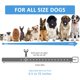 thumbnail image 4 of Correa de repuesto LuckinPet para collar de entrenamiento, color cian, 4 of 6