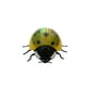 thumbnail image 3 of Juguete Interactivo Con Detección Inteligente, Juguete Para Mascotas Pequeñas, Para Cumpleaños De Mascotas, Mariquita Pequeña, 3 of 3