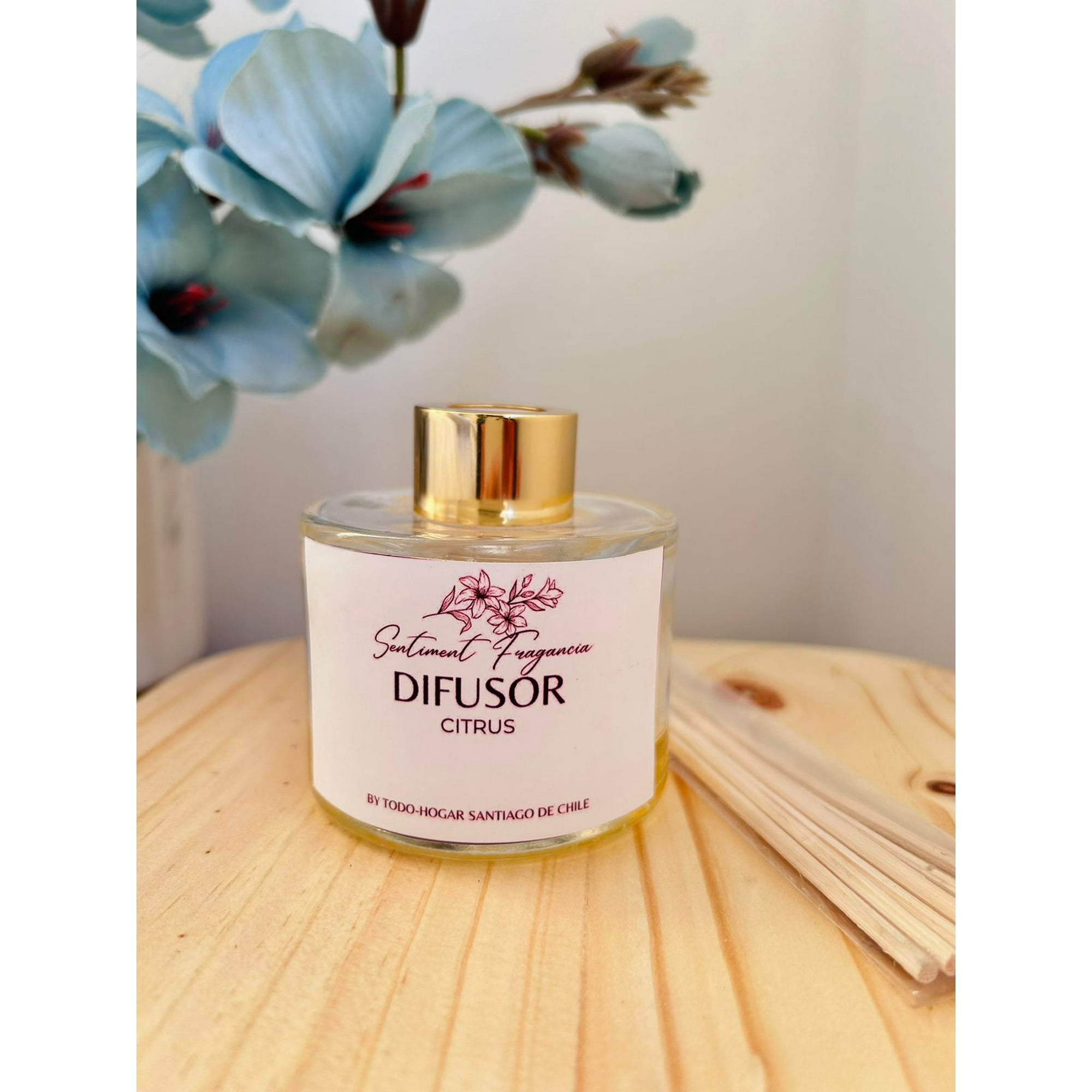 Todo Hogar Santiago De Chile - Difusor De Varillas - Aroma Citrus