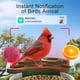 thumbnail image 2 of Comedero para Pájaros SV3C FBA08 Cámara 2K Solar, 2 of 3