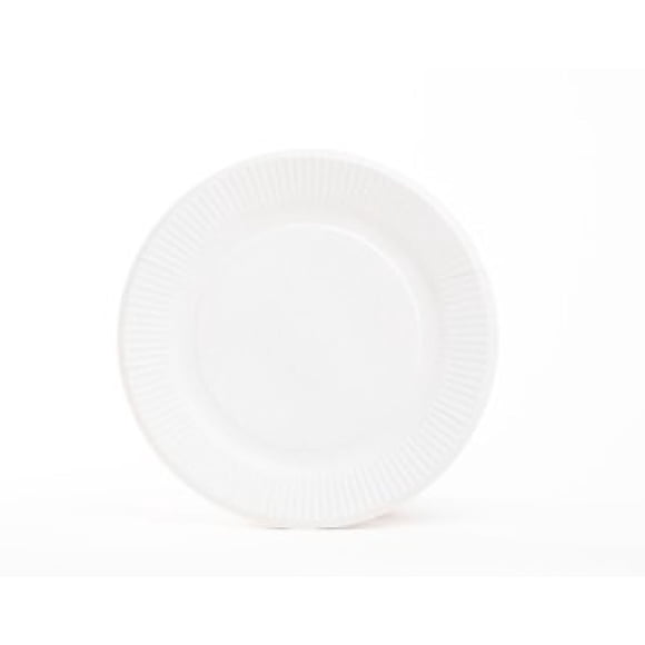 Set de 6 platos grande descartables carton, 1 un