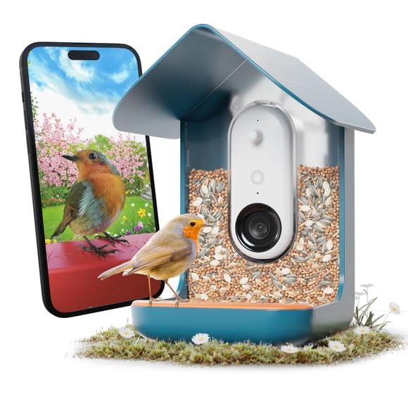 Comedero para aves Bird Buddy PRO con cámara de 5 MP, IA e ვიდეო 2K