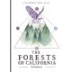 thumbnail image 1 of Heyday – Los Bosques de California (Atlas), 1 of 1
