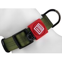 Collar De Paseo De Nylon Para Perro Grande Reflectante Gigwi Verde 48-70Cm Circunferencia De Cuello