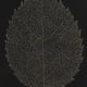 thumbnail image 3 of Cuadro Decorativo Hoja Ovada Gold 44x64, 3 of 4
