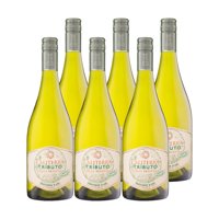 6X Vino Caliterra Tributo Gran Reserva Sauvignon Blanc 750Cc