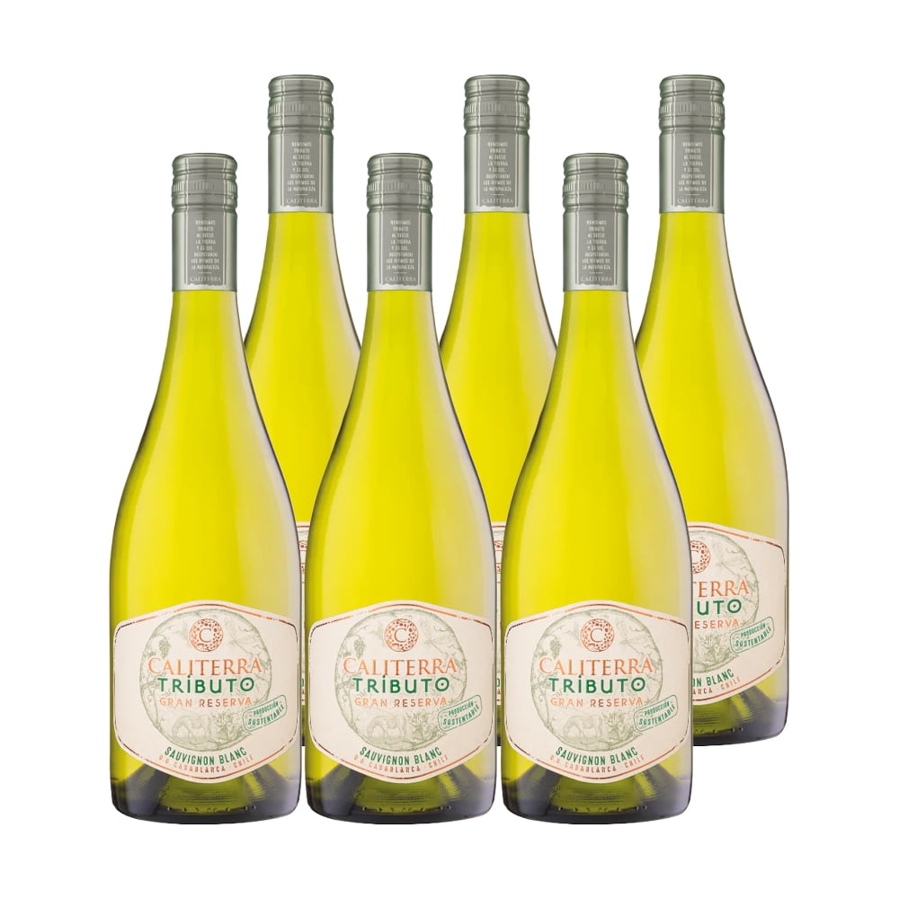 6x Vino Caliterra Tributo Gran Reserva Sauvignon Blanc 750cc