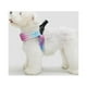 thumbnail image 2 of Pidan® Arnés Para Mascotas Pet - Pequeño, 2 of 3