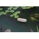 thumbnail image 5 of Pajitas de cebada Pond Treatment Summit Clear-Water, paquete de 2, 5 of 5