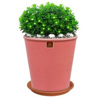 Pottery - Set Maceta Zaia 26 Cm Rosa Alegre Con Plato