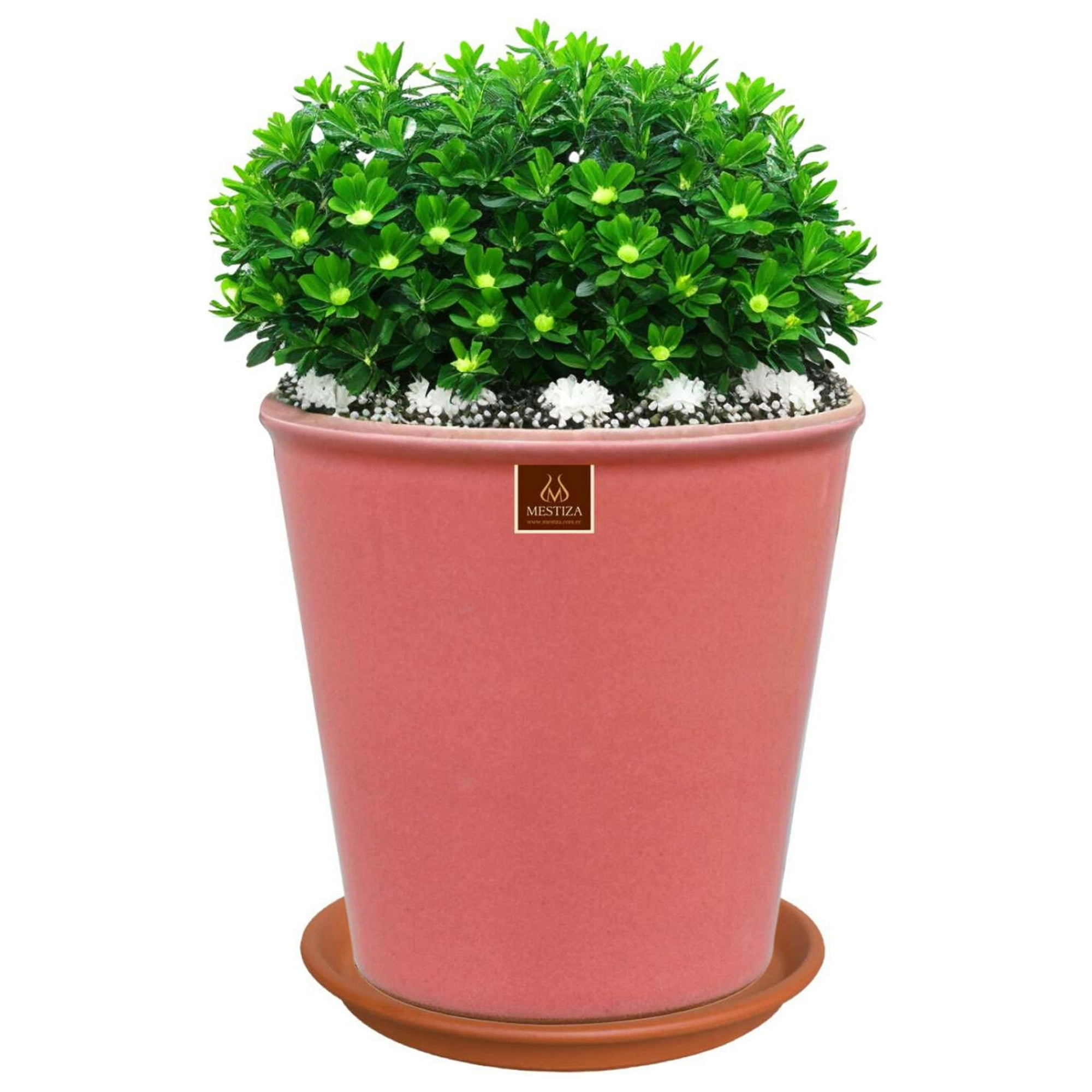 Pottery - Set Maceta Zaia 26 Cm Rosa Alegre Con Plato