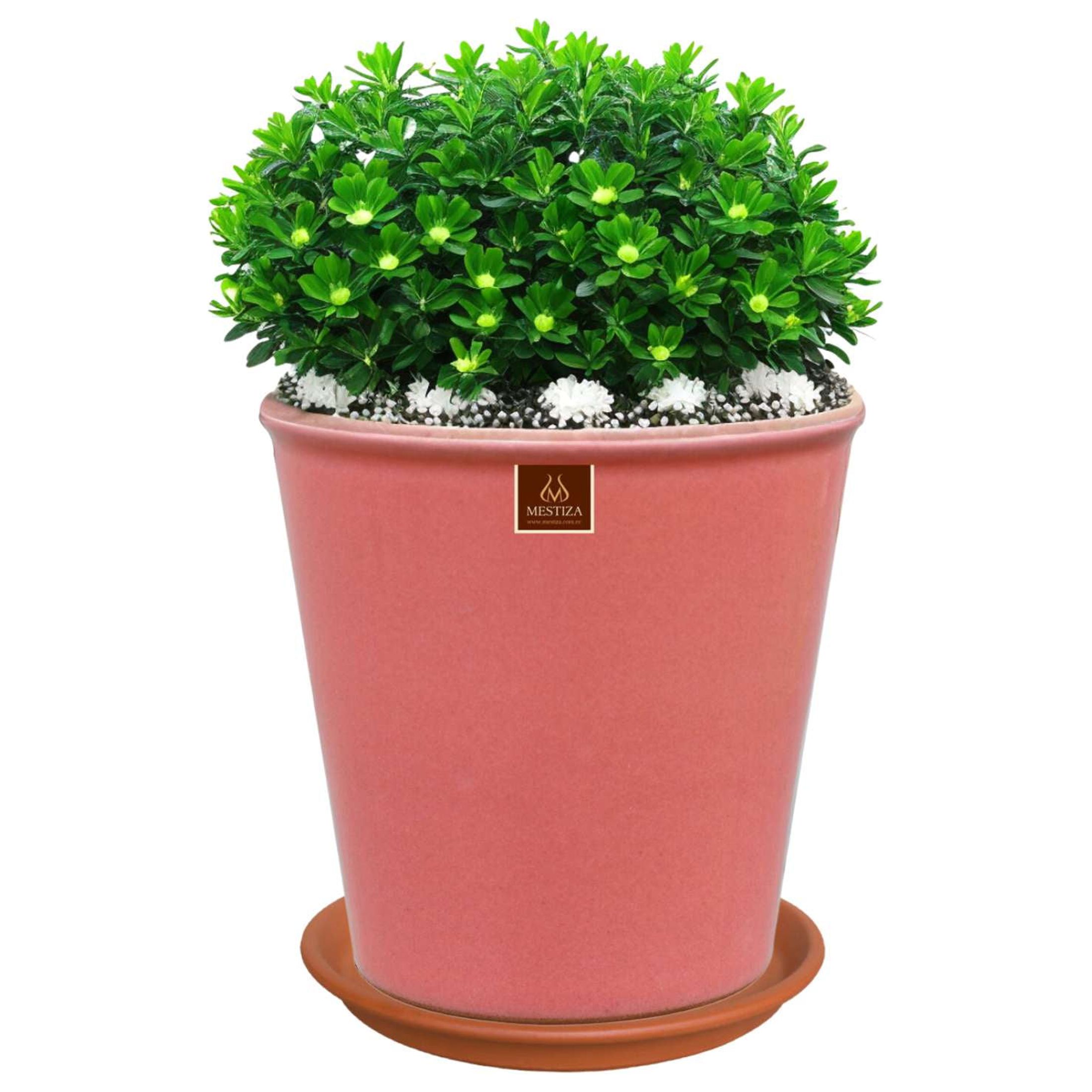 Pottery - Set Maceta Zaia 26 Cm Rosa Alegre Con Plato