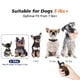 thumbnail image 4 of Collar de adiestramiento para perros UbanInva Ultra Compact Lightweight Orange, 4 of 7