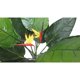 thumbnail image 3 of Planta Artificial Ave Paraíso 85 cm, 3 of 12