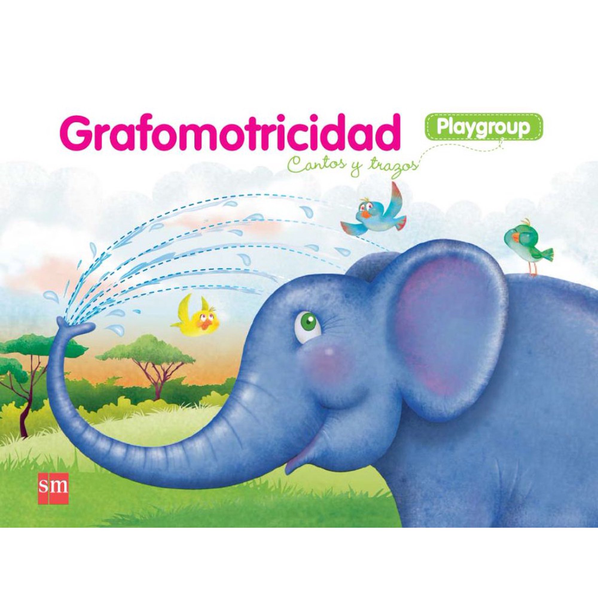 Ediciones Sm - Grafomotricidad Playgroup