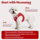 thumbnail image 2 of Arnés para perro rabbitgoo Stepin Pup, talla S, pecho de 15,1 a 16,5 in, 2 of 3