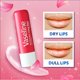 thumbnail image 5 of Bálsamo labial Vaseline Lip Therapy Rosy Lips y Cocoa Butter 4,8 g x4, 5 of 9