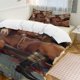 thumbnail image 1 of Overlord Anime Home Bed 3-piece Set Classic Japanese Anime Polyester Wash Student Dormitory Set, 1 of 5