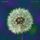 thumbnail image 1 of Music Fire Records – Enfoque en la Naturaleza, 1 of 1