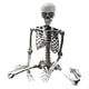 thumbnail image 1 of Esqueleto De Halloween Props Party Favors Yard Full Body Posable Joints Skeleton 70cm, 1 of 5