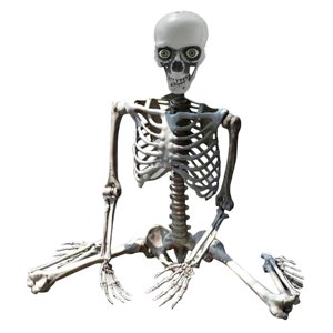 Bothyi - Esqueleto De Halloween Props Party Favors Yard Full Body Posable Joints Skeleton 70Cm