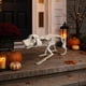 thumbnail image 3 of Esqueleto de Perro Decorativo Articulado 71 cm Halloween - Frank & Mortis, 3 of 3